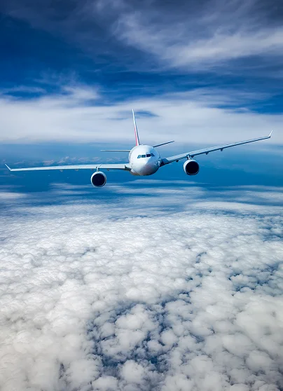 scandanavian_airline.webp